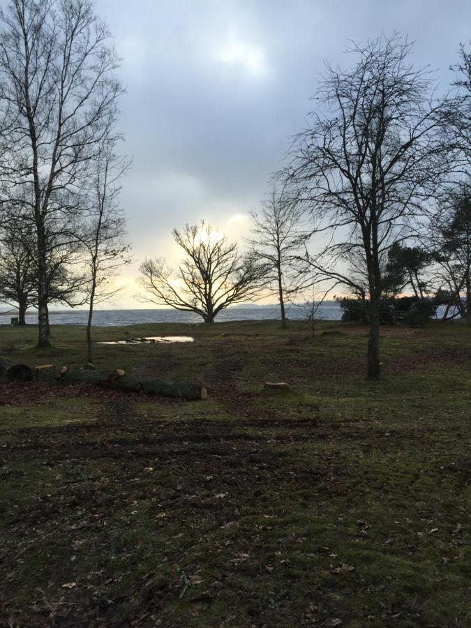 Bo Centralt I Vaernamo Dış mekan fotoğraf